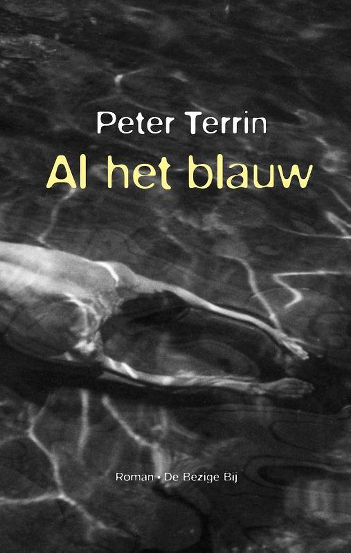 Al het blauw - Peter Terrin